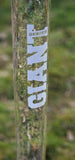 XXL Giant Glas Bong H 74cm - Ø 75mm